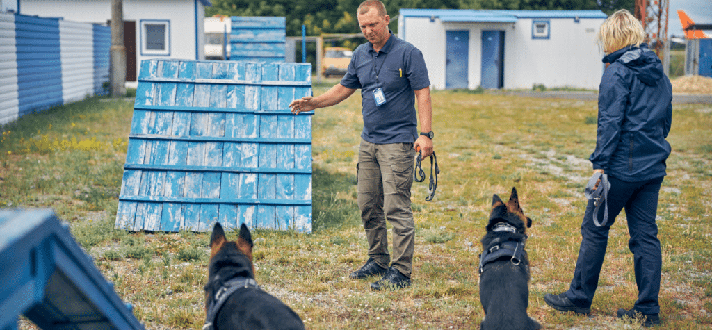 photo of canine tactical classes found online thanks to tactical social media marketing for trainers.