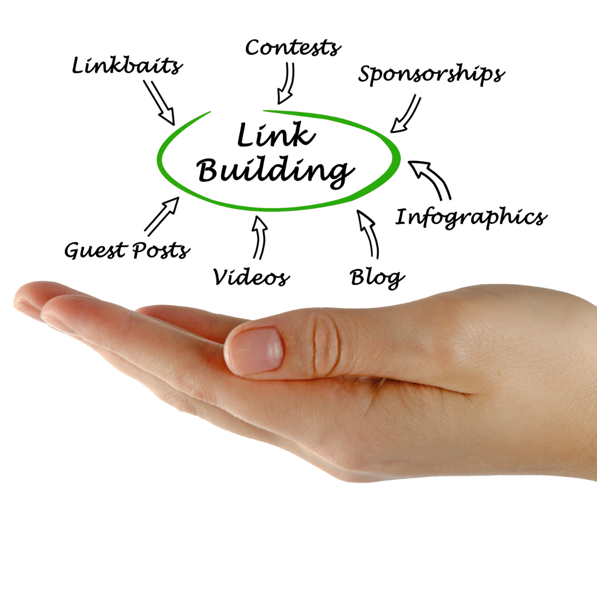 photo of hand with link building services branching off