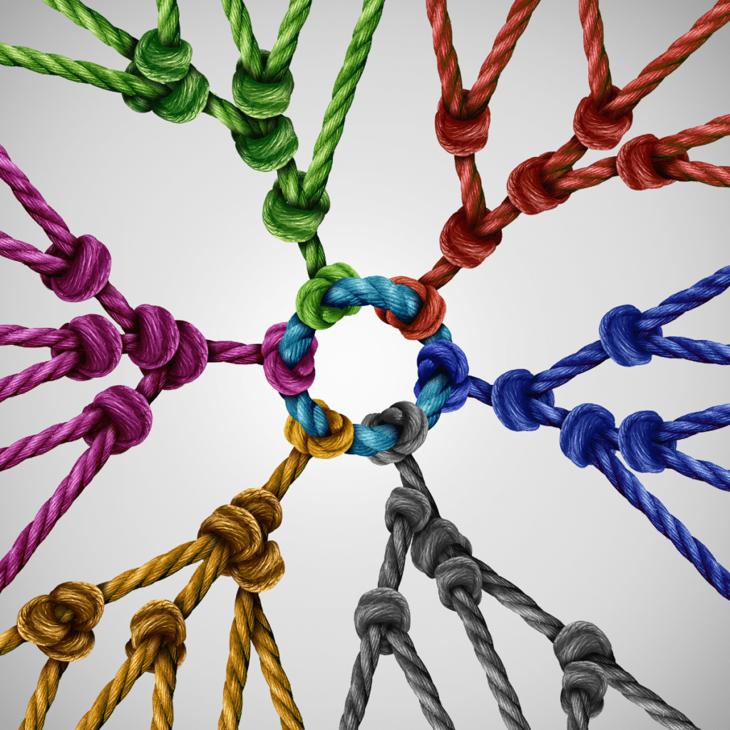 photo of ropes linked and tied together representing chula vista seo backlinks building from a chula vista seo company